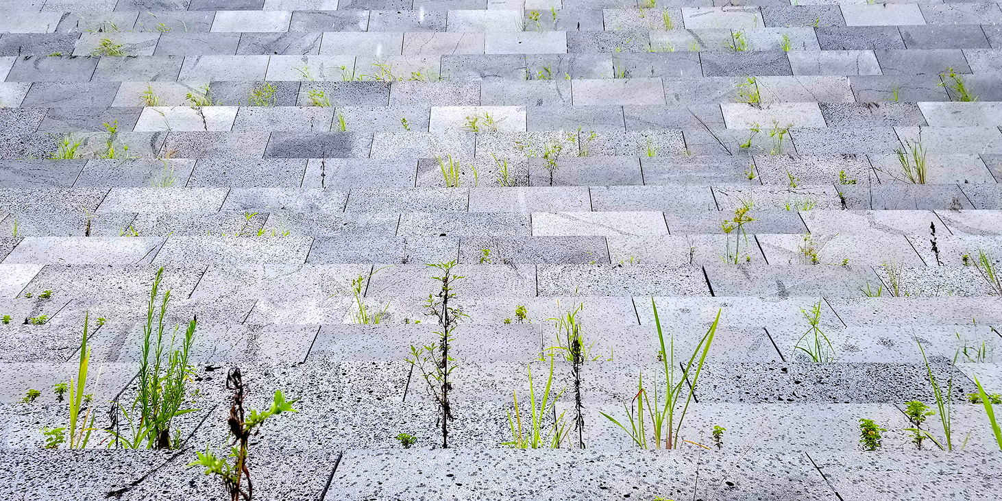 P_Stone_02